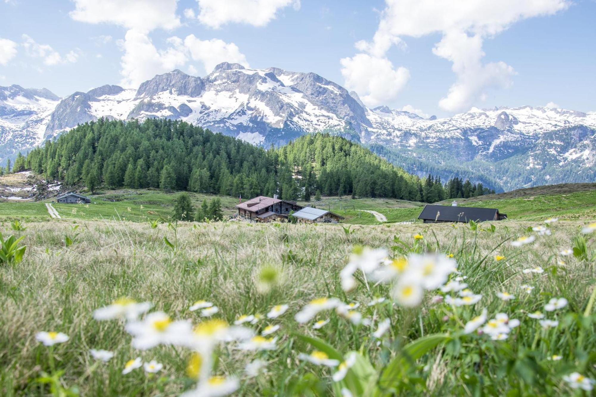 Villa Marga Ferienwohnung Steinernes Meer Schönau am Königssee Εξωτερικό φωτογραφία